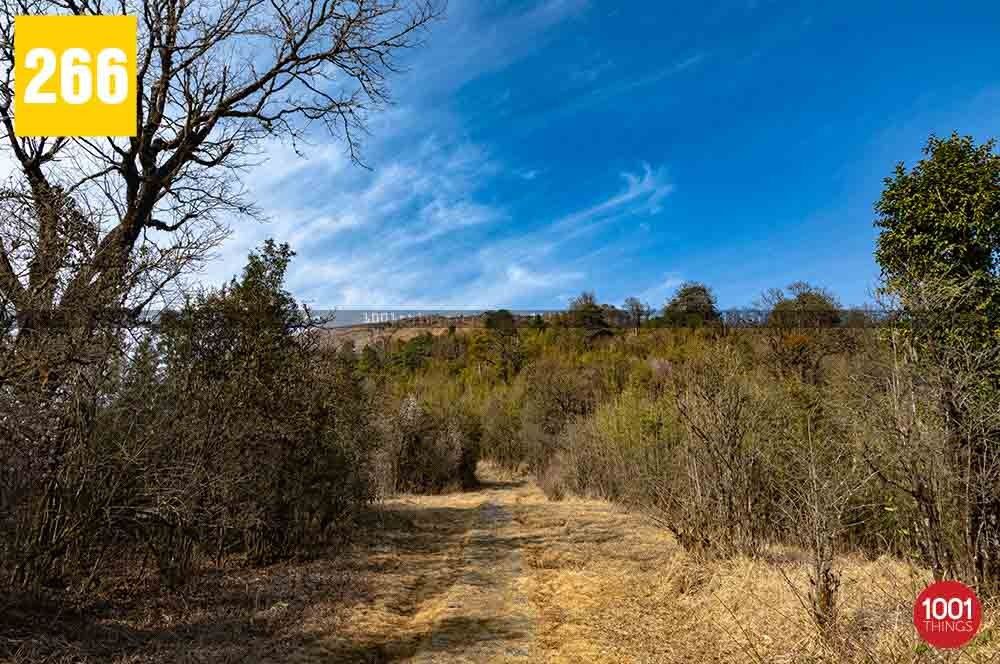 Dhotrey to Tonglu and Tumling Trek