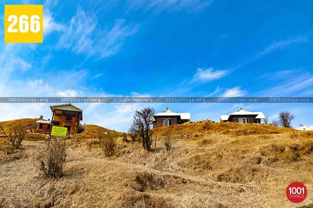 Dhotrey to Tonglu and Tumling Trek