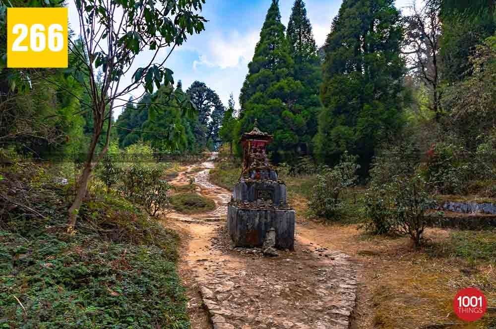 Dhotrey to Tonglu and Tumling Trek