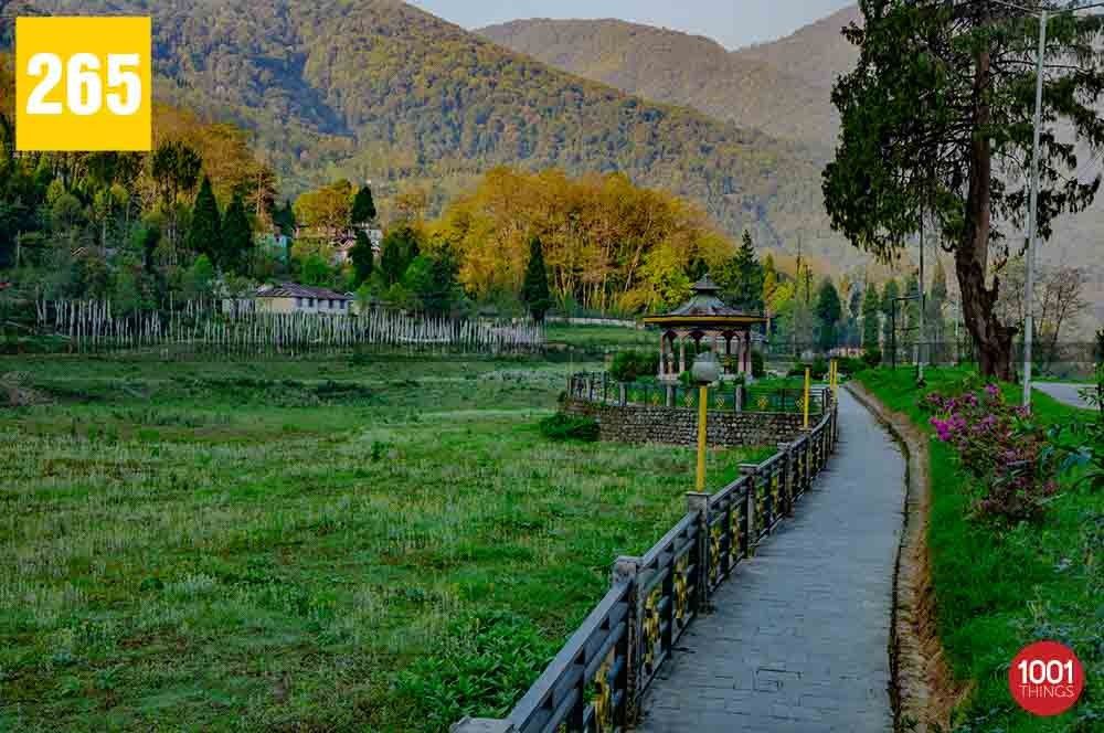 Uttarey, West Sikkim
