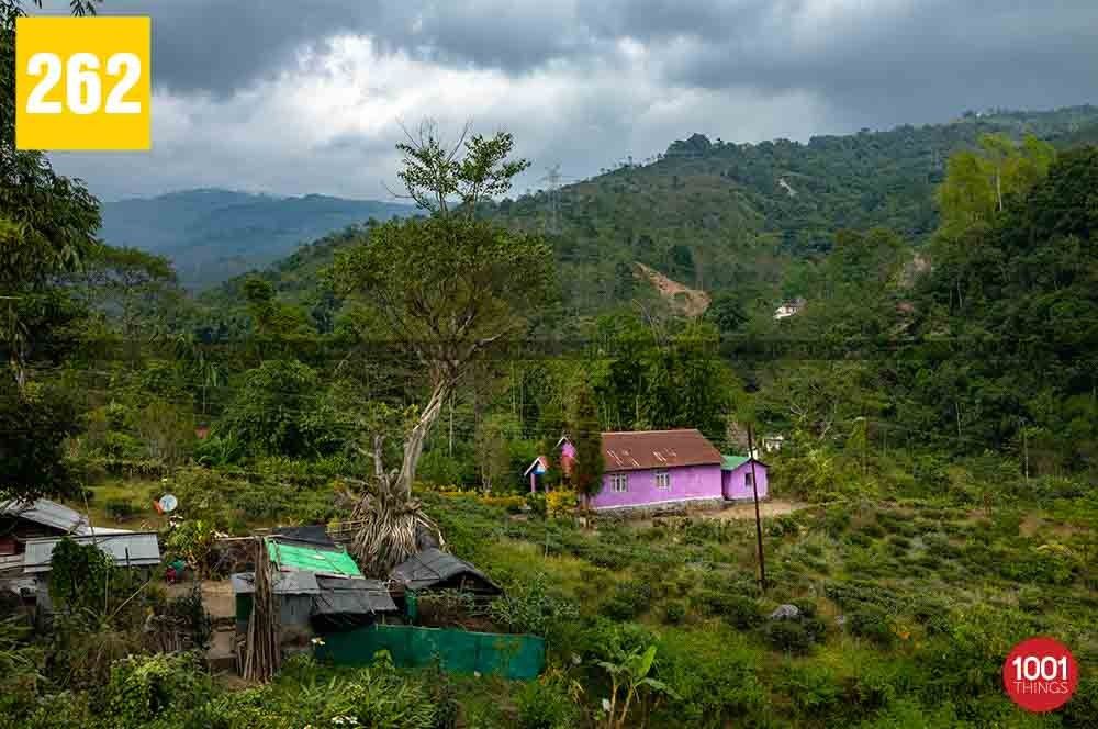 Tabakoshi Village, Darjeeling