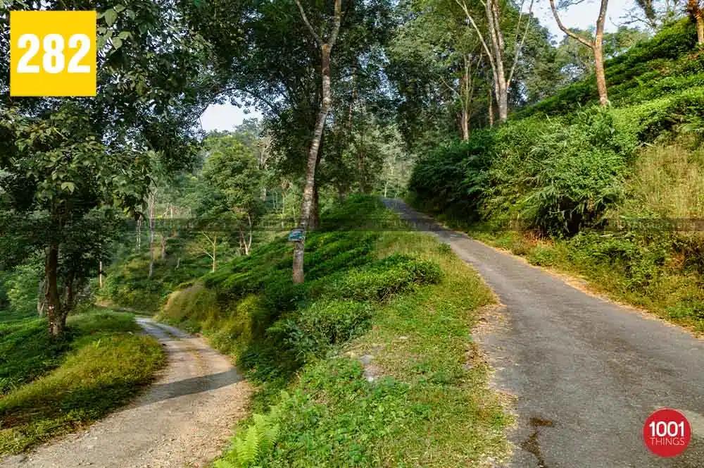 Shiva Khola to Mahanadi