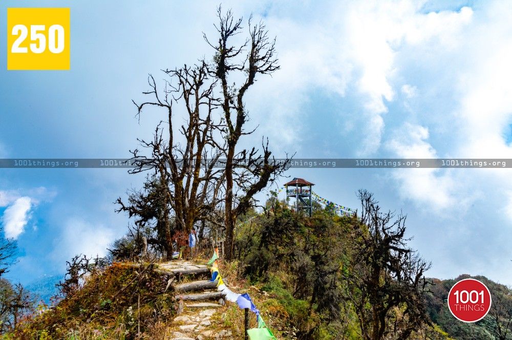 Fambong Lho Wildlife Sanctuary