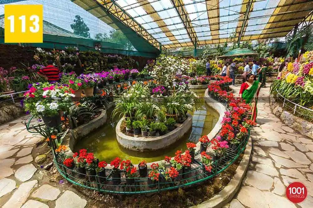 Artificial pond at flower exhibition centre