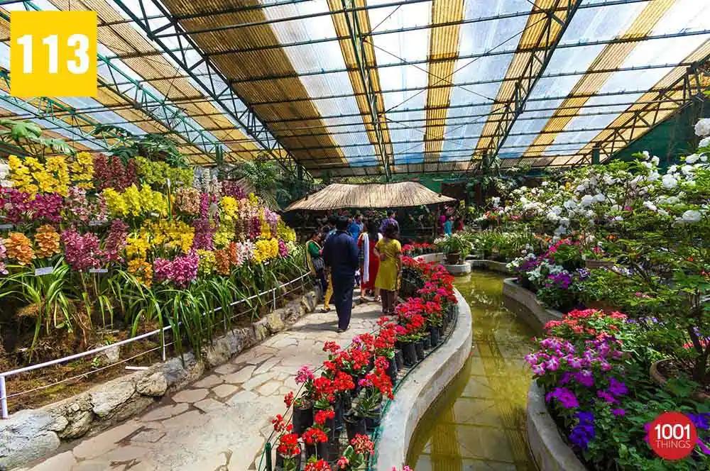 Tourist visitor at flower exhibition centre