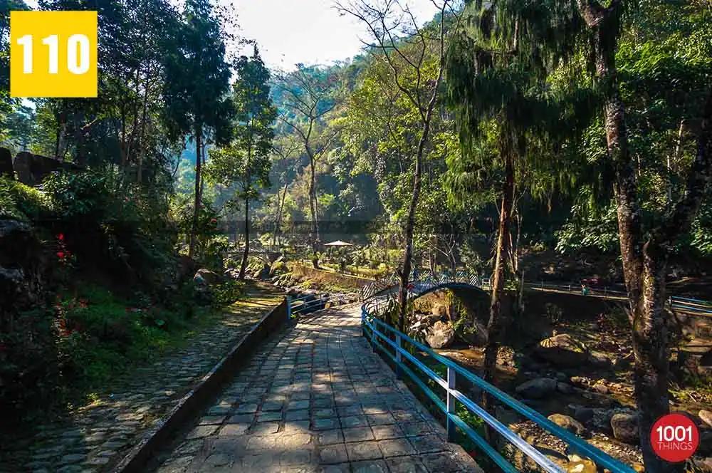 Gangamaya Park, Darjeeling — first sight