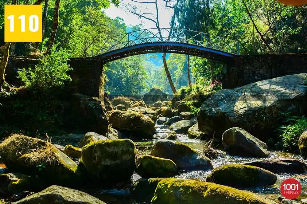 Gangamaya Park, Darjeeling — small bridges over the streams