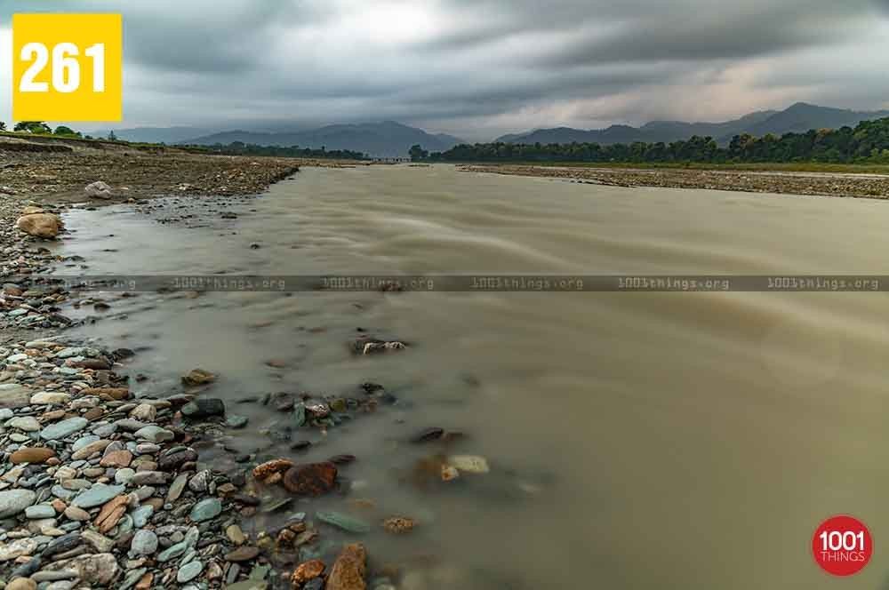 Gulma, Siliguri