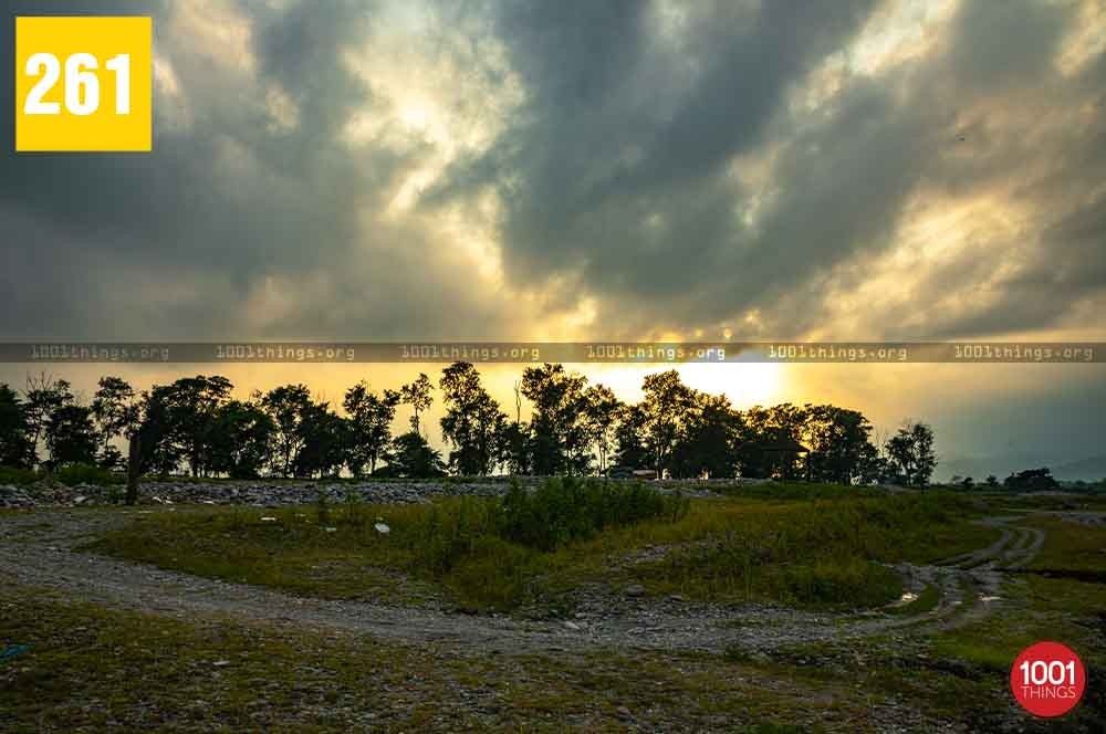 Gulma, Siliguri