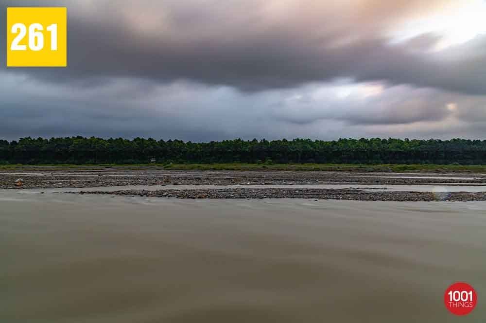 Gulma, Siliguri