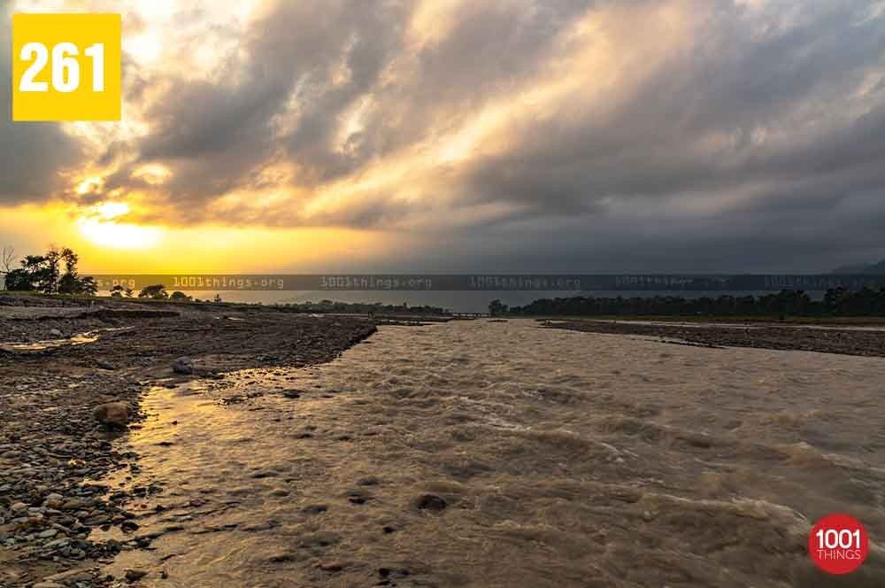 Gulma, Siliguri