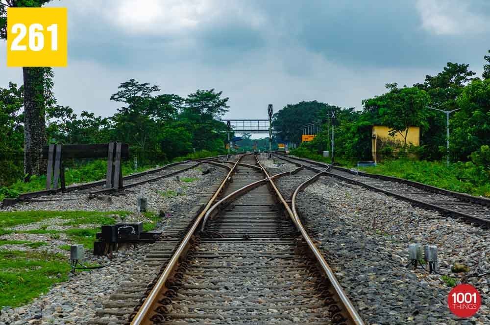 Gulma, Siliguri