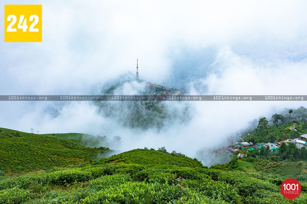 Hanuman Statue - Kurseong View Point