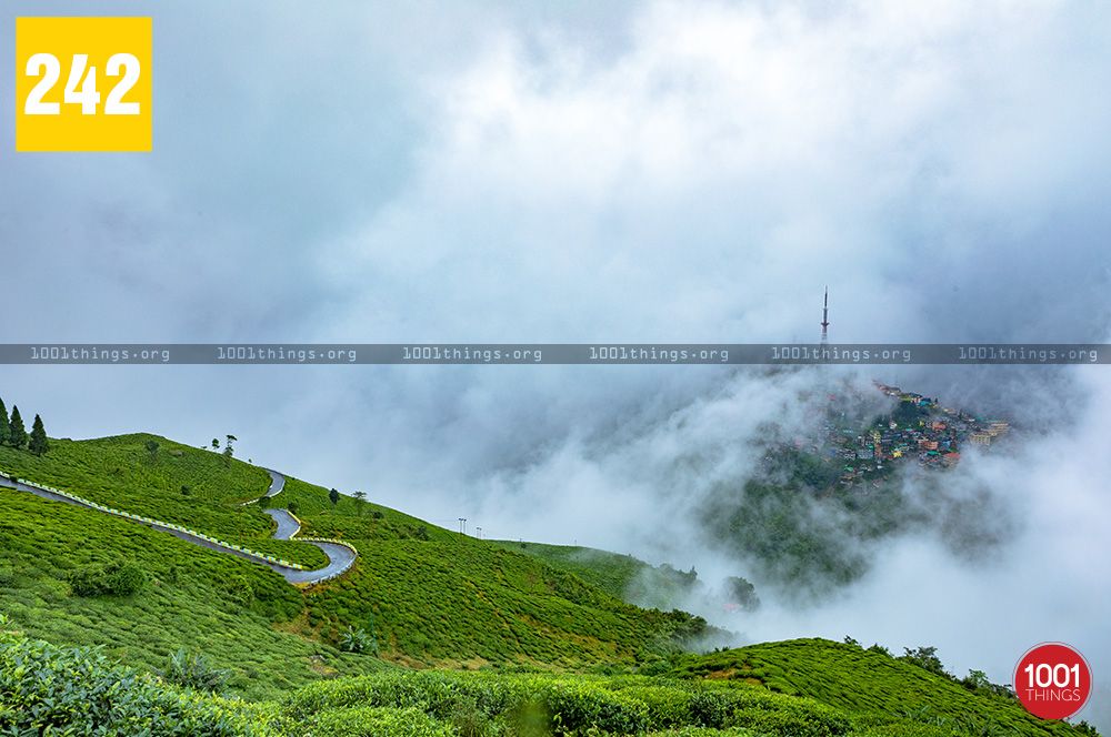 Hanuman Statue - Kurseong View Point