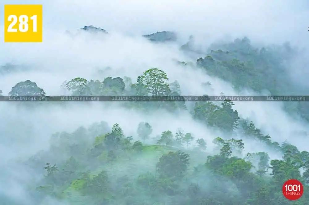 Rongtong to Shiva Khola