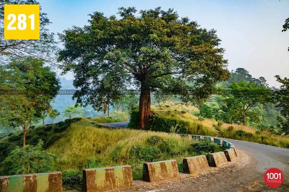 Rongtong to Shiva Khola
