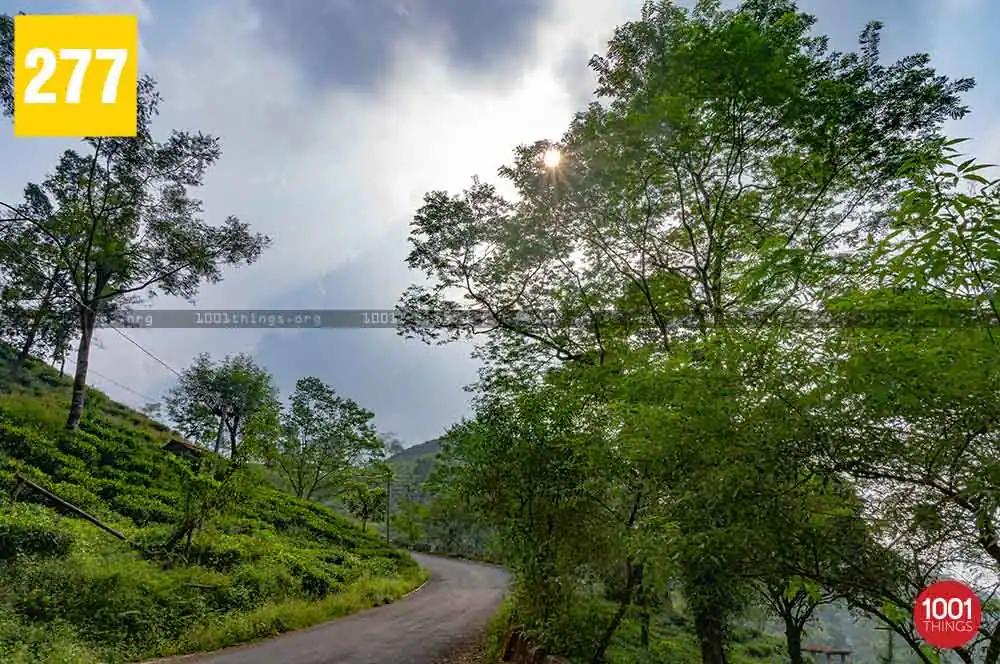 Shiva Khola to Simring
