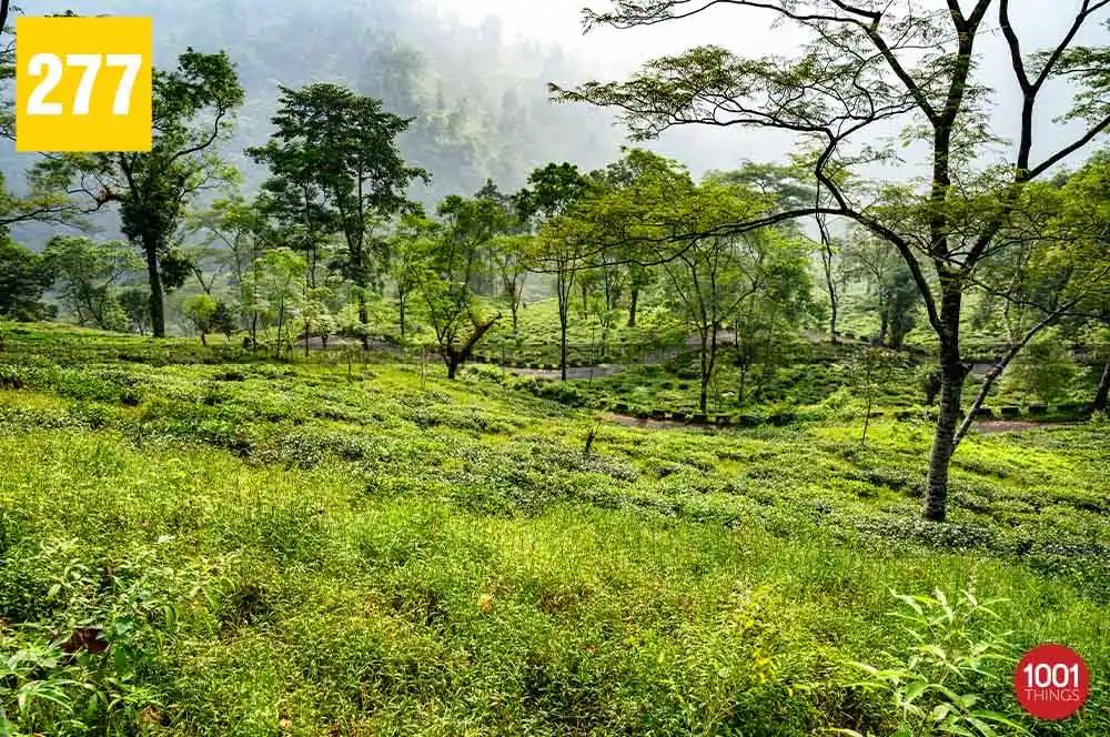 Shiva Khola to Simring