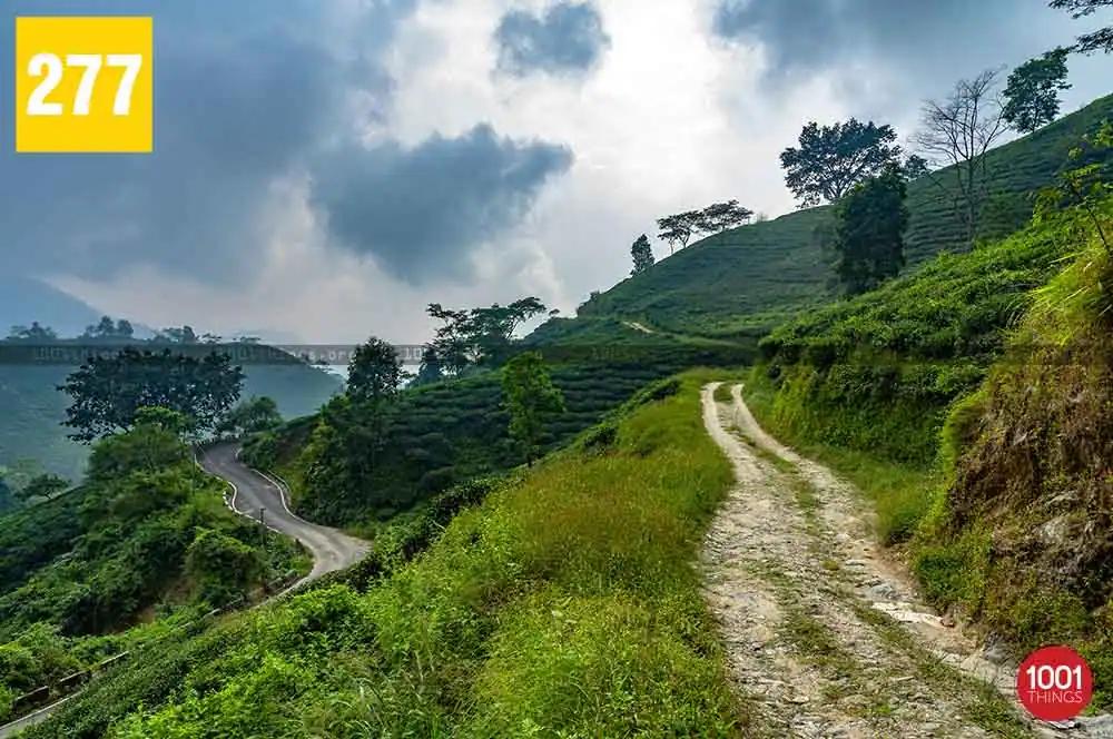 Shiva Khola to Simring