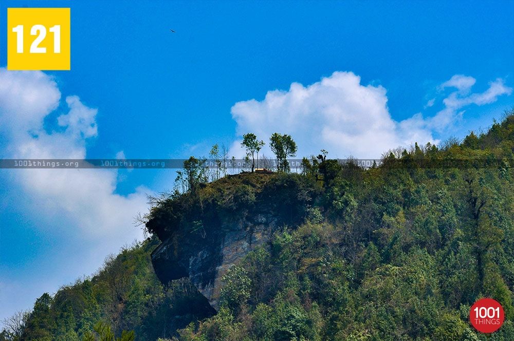View from the watch tower, Himalayan Zoological Park