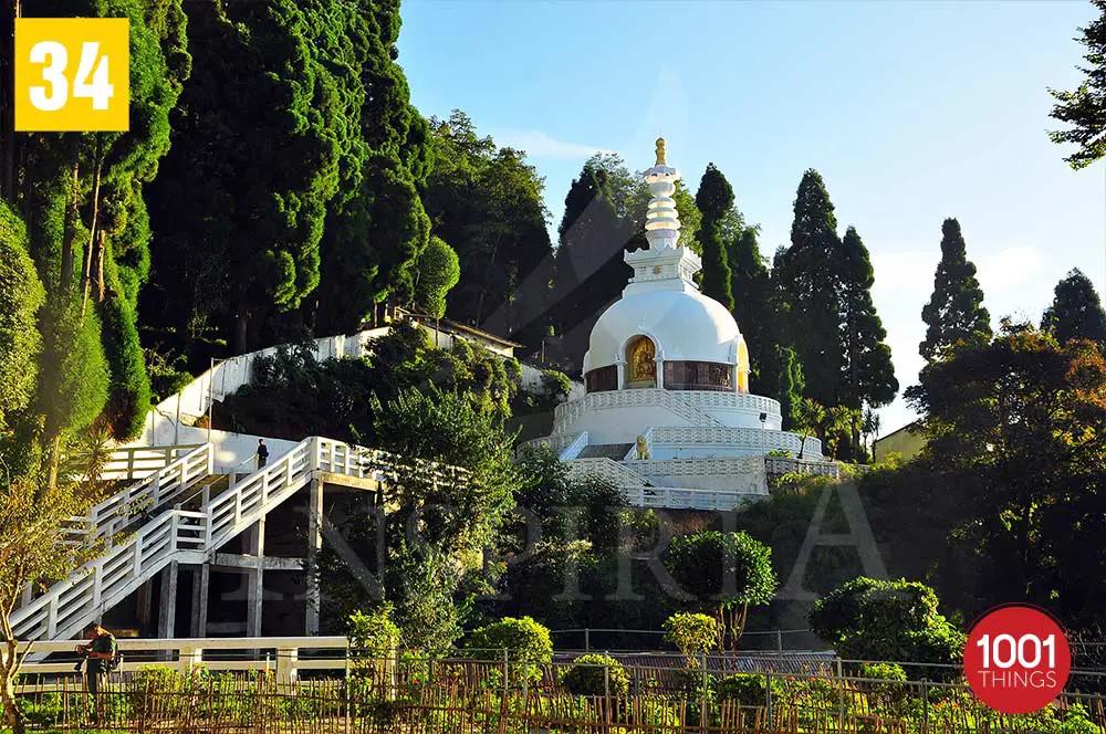 Peace Pagoda view from Japanese Darjeeling