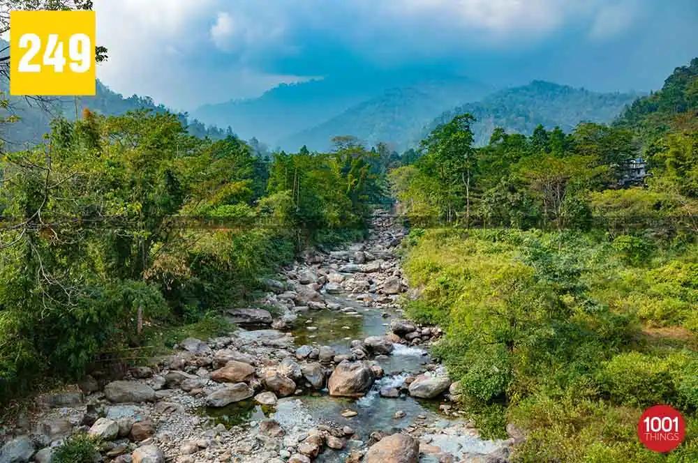 Jhalong, Jaldhaka