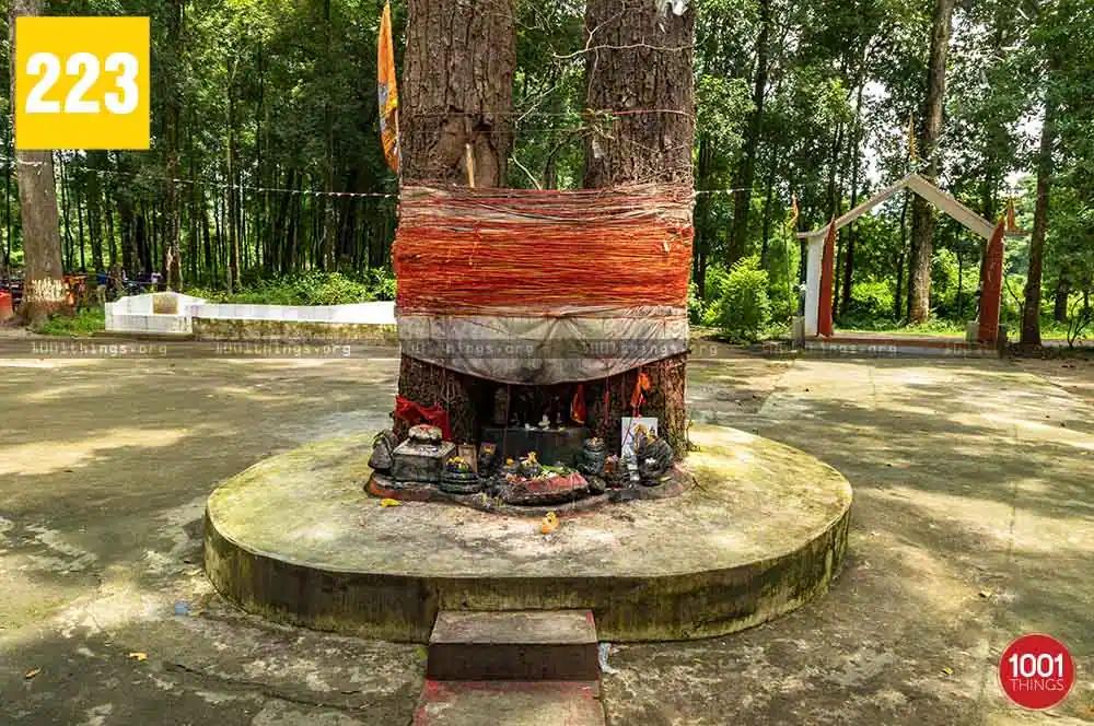 Junglee Baba Mandir