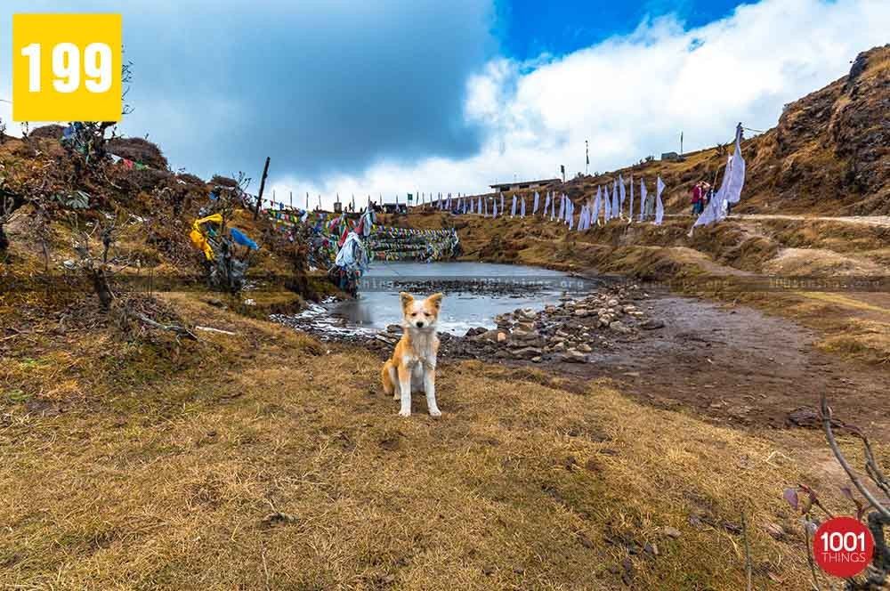 Kalapokhari Lake, Sandakphu