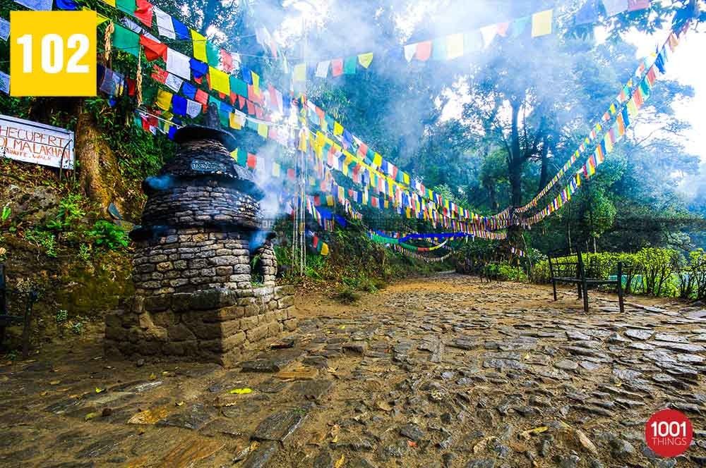 Prayer Flags at Khecheopalri Lake, Sikkim