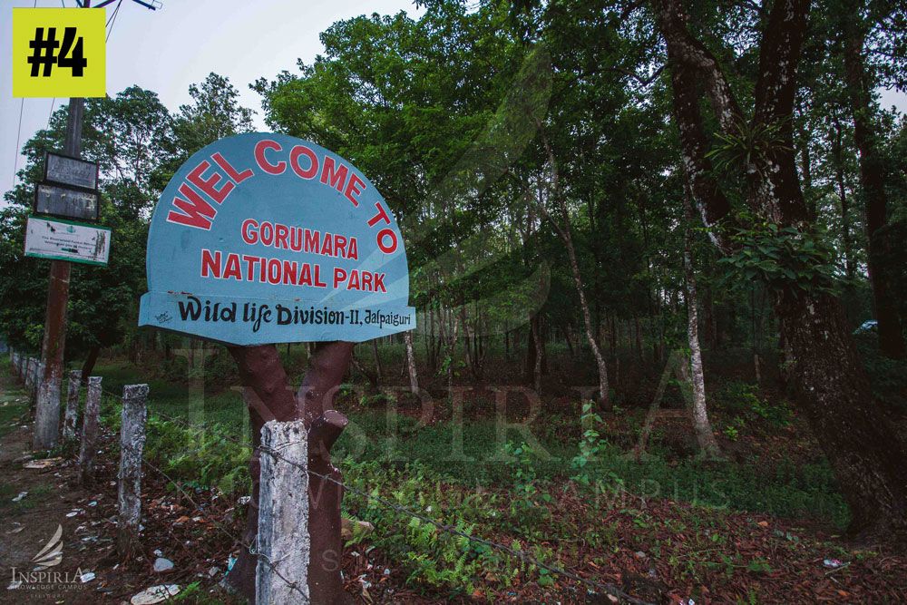 Lataguri — gateway to Gorumara National Park