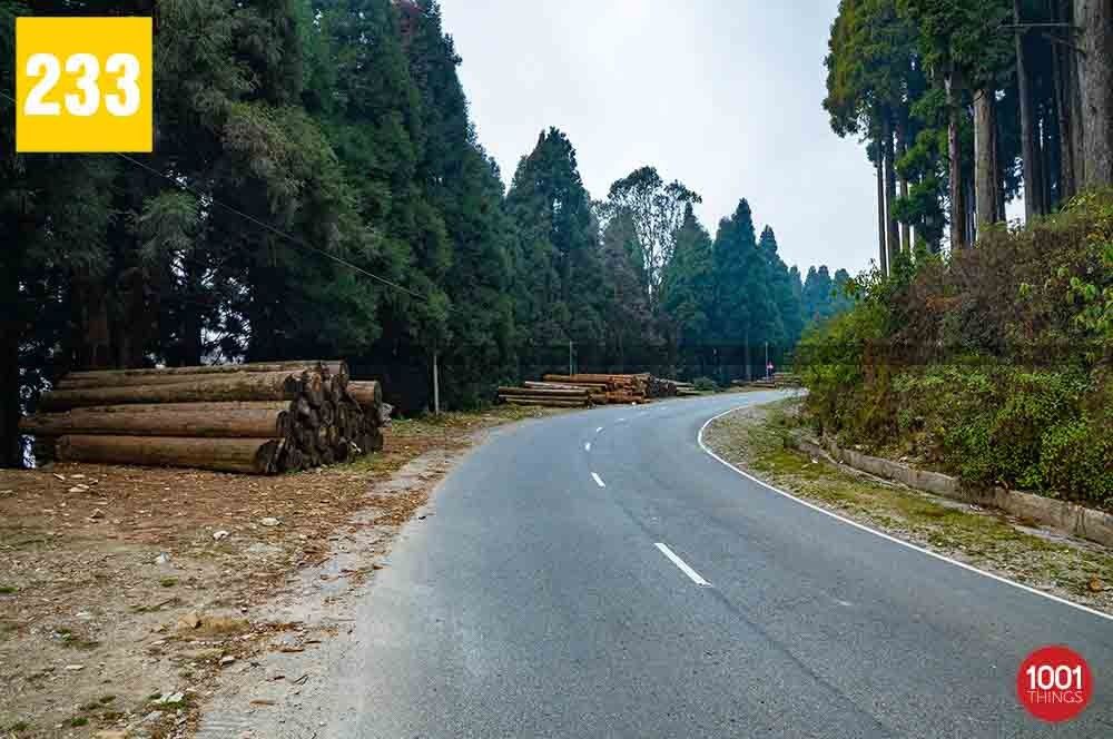 Lava, Kalimpong