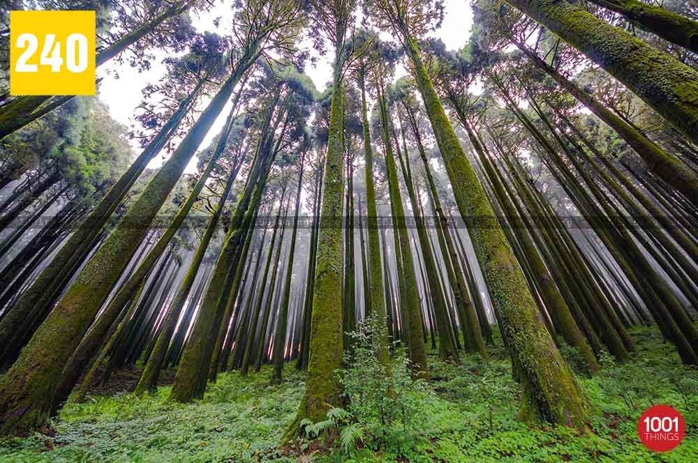 Lepchajagat: A Wonderful World in the Wilderness