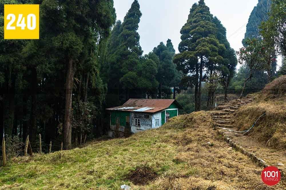 Lepchajagat, Darjeeling