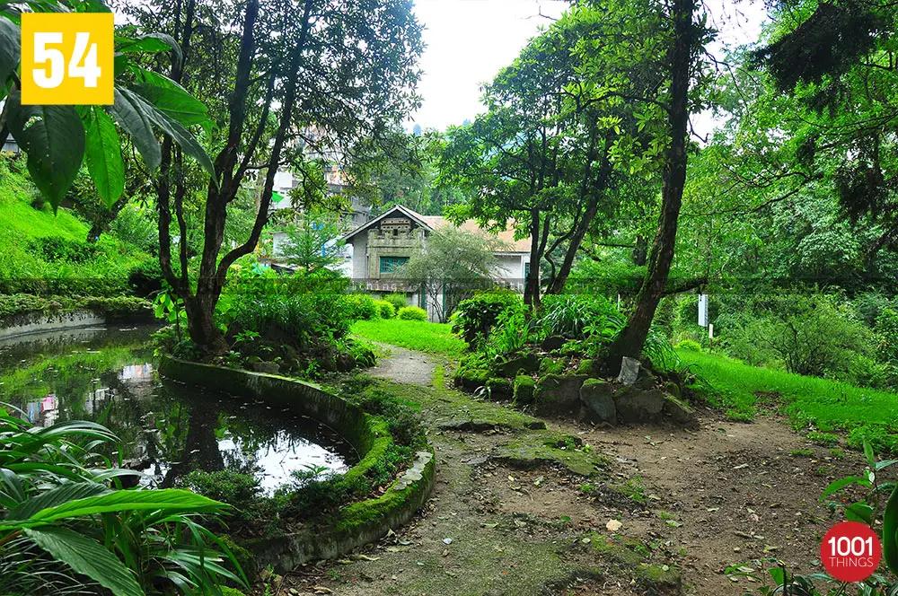 Upper Lloyd Botanical Garden Darjeeling