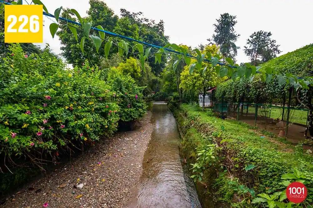 Malbazar Park