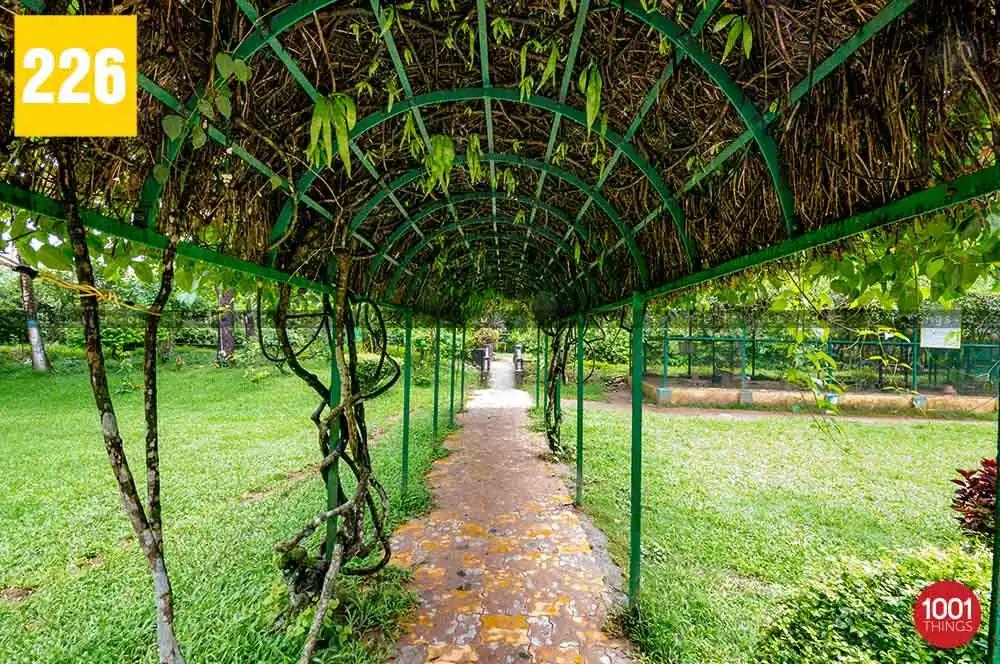 Malbazar Park