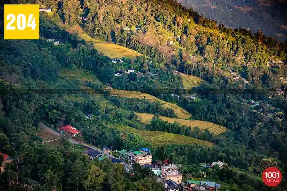 Mankhim Hill Top, Sikkim
