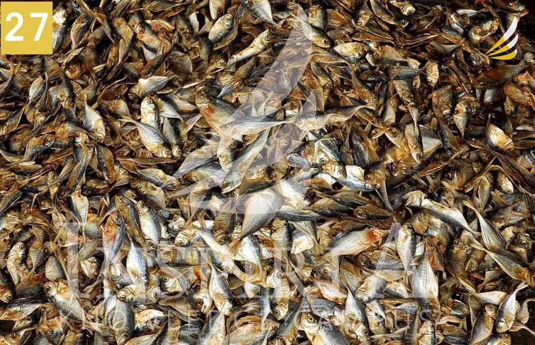 Fish Stalls at Matigara Hat, Siliguri