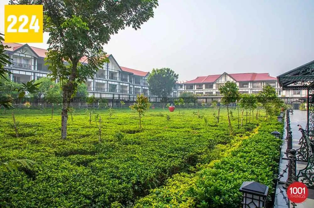 MAYFAIR Tea Resort, Siliguri