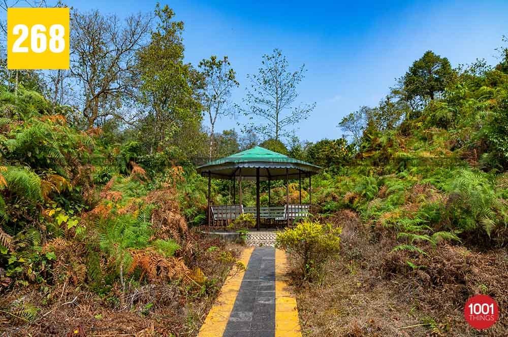 Megitar, Darjeeling