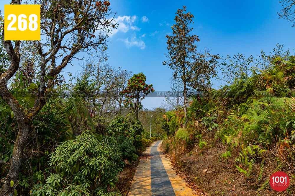 Megitar, Darjeeling