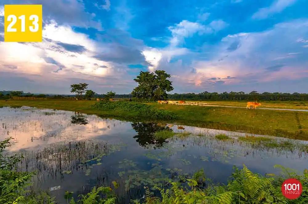 Murti River
