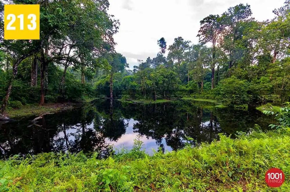 Murti River
