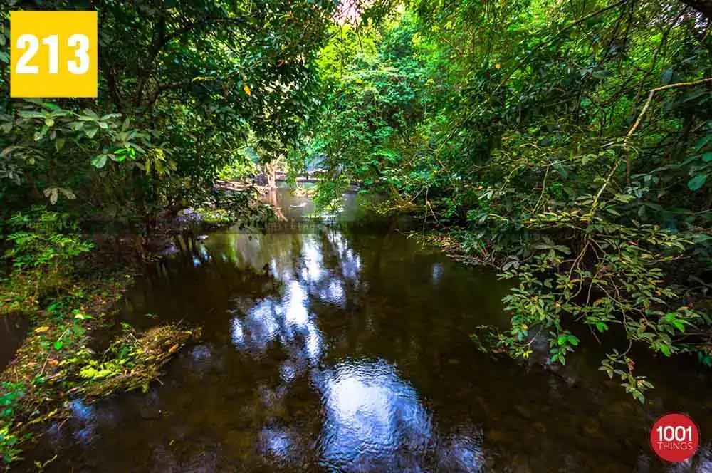 Murti River