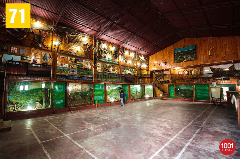 Nature Interpretation Centre, Kalimpong