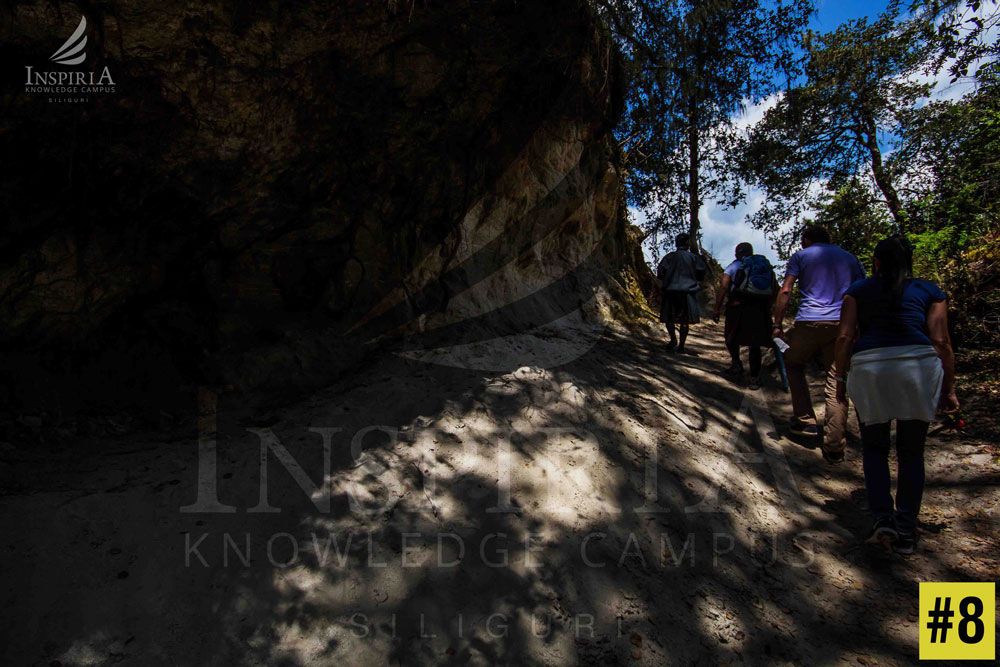 Light and shades during the walk to Taktsang Monastery