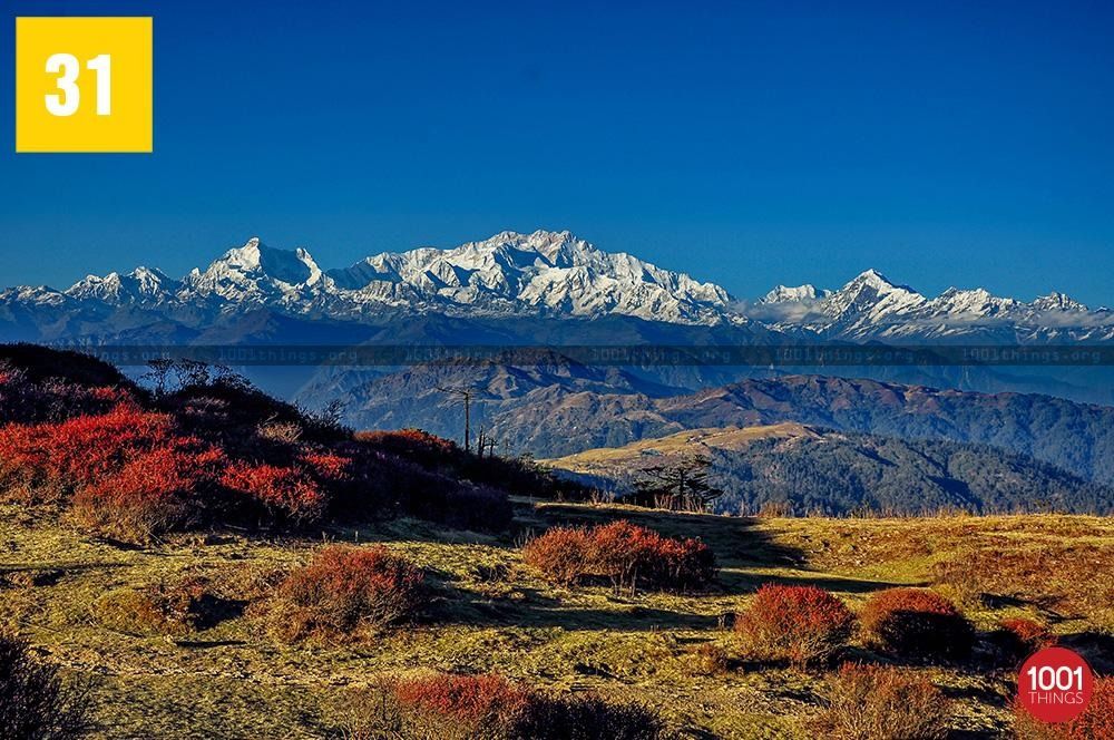 Sandakphu Trek Darjeeling