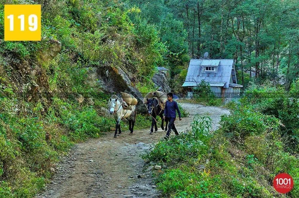 Srikhola