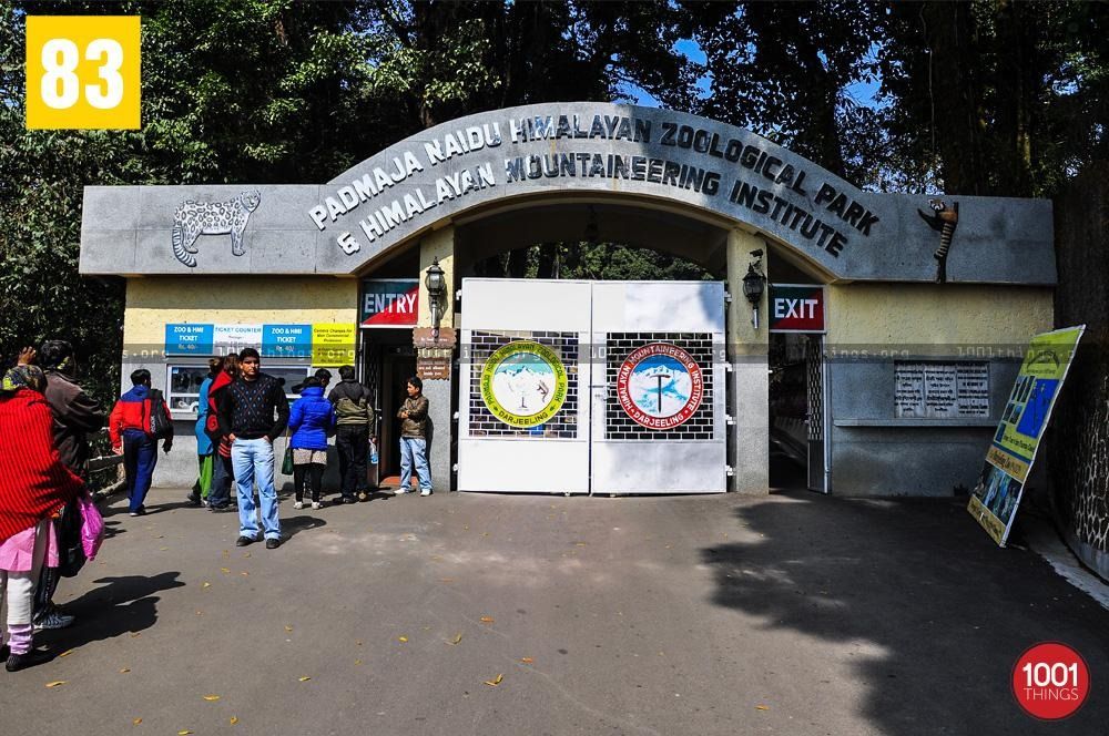 The Padmaja Naidu Himalayan Zoological Park 