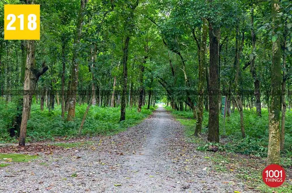 Rasikbill, Cooch Behar